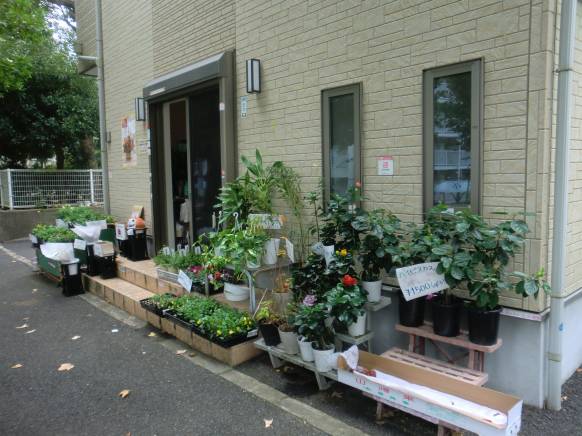 「フローリスト花専華」　（千葉県松戸市）の花屋店舗写真3