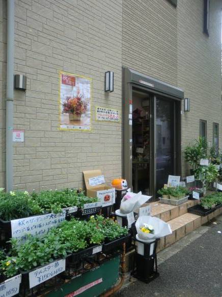 「フローリスト花専華」　（千葉県松戸市）の花屋店舗写真4