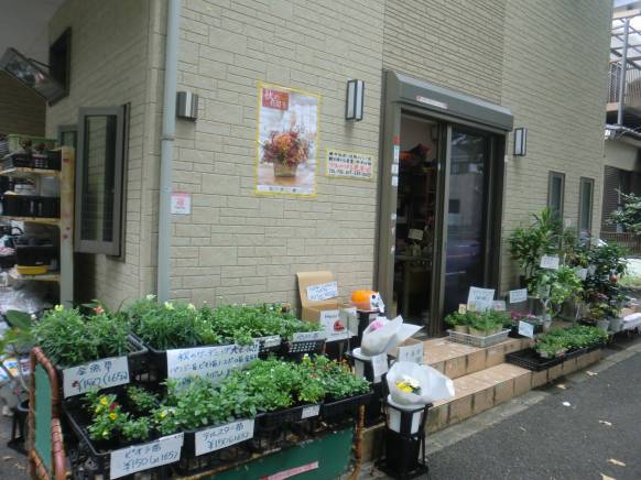 「フローリスト花専華」　（千葉県松戸市）の花屋店舗写真1